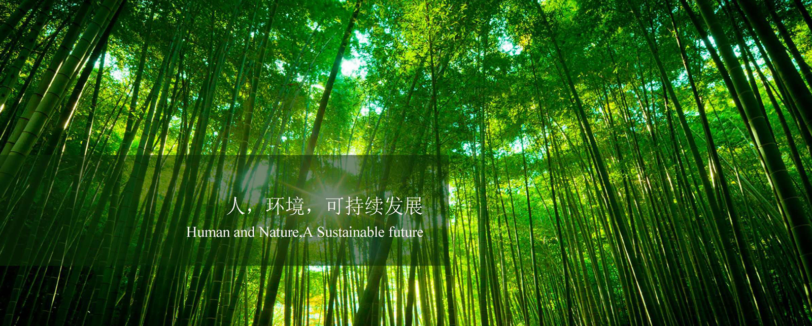 平頂山凱美威生物科技有限公司