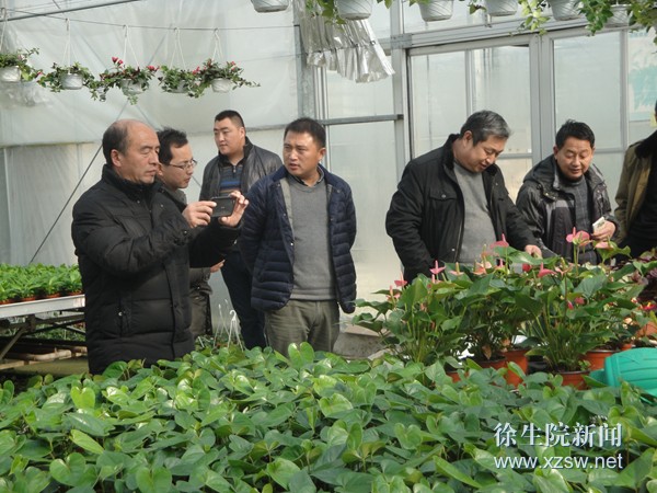 學(xué)員在泗陽現(xiàn)代農(nóng)業(yè)示范區(qū)參觀見習(xí)